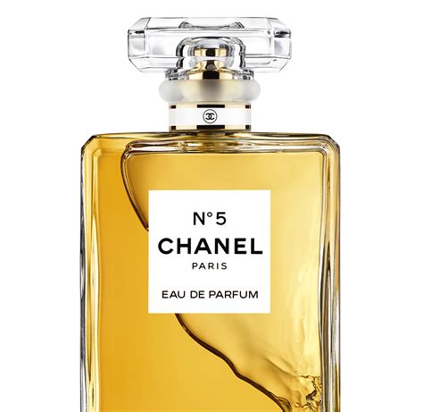 chanel perfume 5 in 1|Chanel no 5 cheapest price.